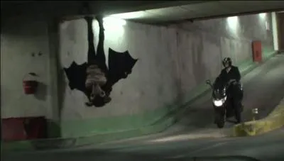 Trouvez la bonne appellation, correspondante à la chauve-souris !