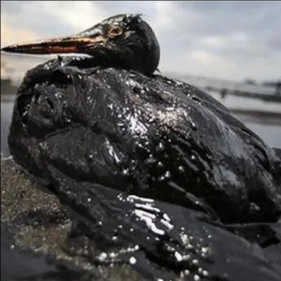 Le 24 mars 1989 a eu lieu le naufrage du pétrolier Exxon Valdez au large du Canada.