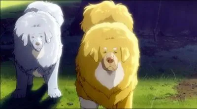 Comment se nomme la chienne qui reste beaucoup aux côtés du nouveau chien ?