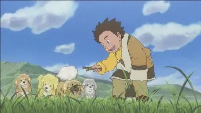 À combien de petits cette chienne a-t-elle donné naissance ?