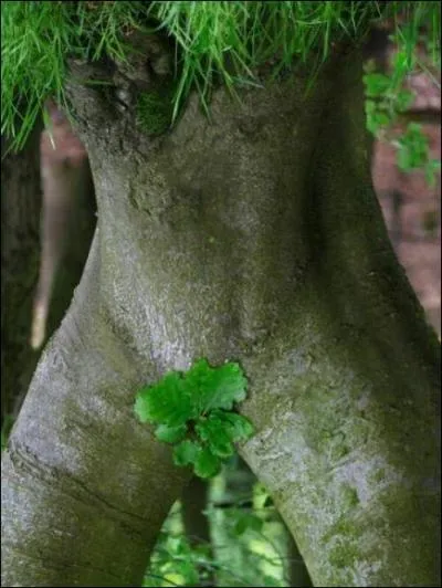 Qu'est-ce qu'un 'exobiophile' ?