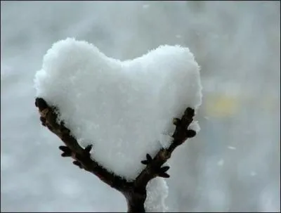 Qui est l'interprète de la chanson "Comme un coeur froid" que ne lui a sans doute pas inspiré René ?