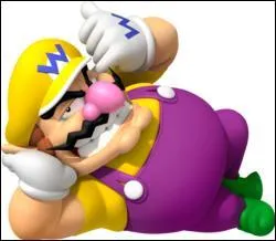 Wario. Parmi ces affirmations, lesquelles sont vraies ?