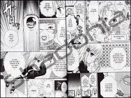 Combien y a-t-il de tomes "Shugo Chara" ?