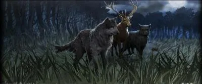 Trouve l'intrus. 
Indice : animal