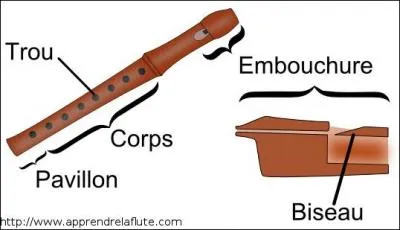 À qui vous fait penser cette photo ?