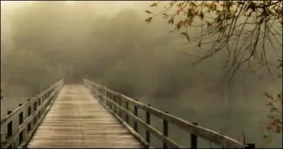 Quel chanteur interprète "Over the Bridge of Time" ?