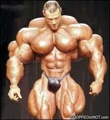 Dans quelle partie du corps se trouve le muscle couturier ?