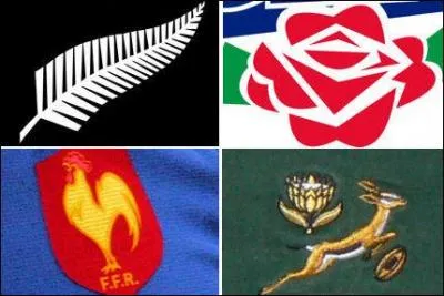 Souvent, les équipes nationales portent un surnom, par exemple, les Néo-zélandais sont les all blacks, l'Australie c'est les Wallabies Mais, à votre avis, les canadiens, ce sont des