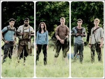 Depuis combien de temps le Labyrinthe existe ? (film)