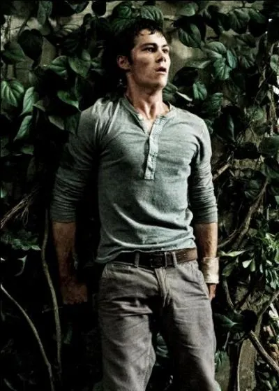 Quel est le rôle de Dylan O'Brien ?