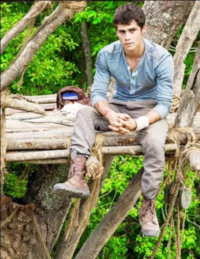 Pour quelle raison Thomas va-t-il dans le Labyrinthe la première fois ?