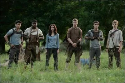 Qui est le réalisateur du film ?