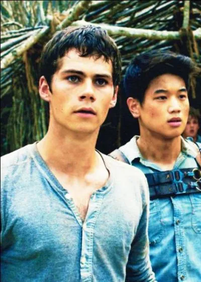 Que sont Minho et Thomas ?