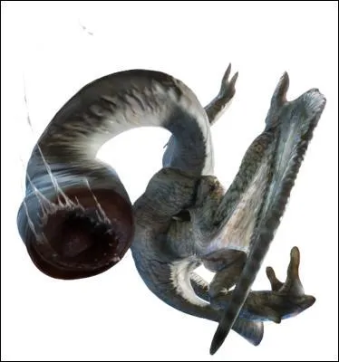 Comment est appelé ce monstre ?