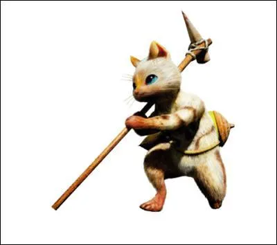 Comment est appelé ce petit chat ?