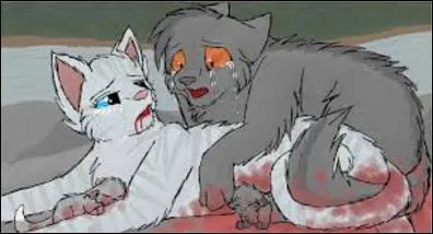 Quelle guerrière a mis bas au Rocher du Soleil ?