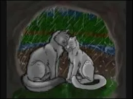 Qui est son compagnon ?