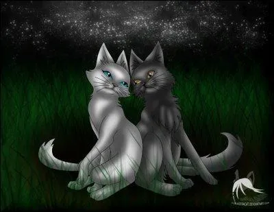 Combien a-t-elle eu de chatons ?