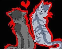 Pourquoi ne peuvent-ils pas s'aimer ?