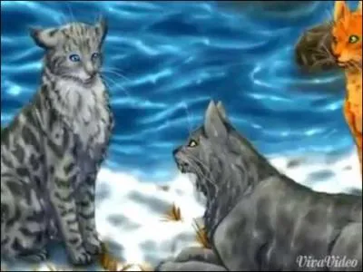 Et à leur rencontre ?