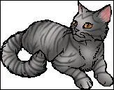 Quel sera le nom de guerrière de Nuage de Nénuphar ?