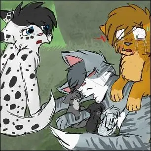 Combien a-t-elle eu de chatons ?