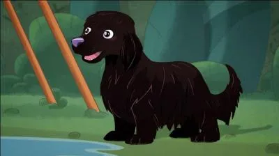 Quelle est la race de ce chien nommé Lilu ?