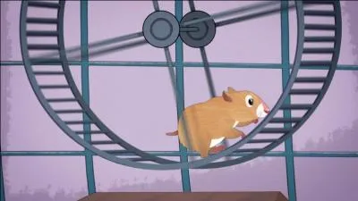 Et ce petit hamster trop mignon, quel est son nom ?