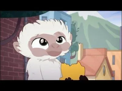 Sapajou (le singe sur l'image) est un...