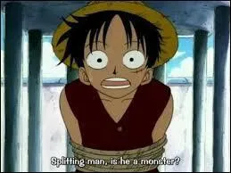 Pourquoi Luffy est-il enfermé dans une cage ?