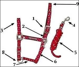 Quel est le nom de la partie numéro 6 ?