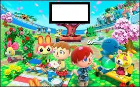 Quel est ce jeu de DS ?