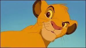 "Simba" apparaît dans :