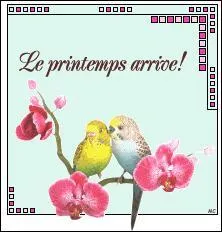 Si vous en connaissez, fêtez-les le 16 mars ! Je vous donne le prénom en charade : Mon premier est rouge, noire ou vitrée, mon second a du flair mon troisième dit à haute voix ce que vous devez écrire :