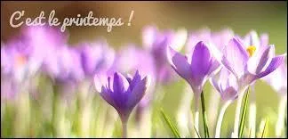 Sa fête est le 19 ! Il lit le bulletin de note catastrophique de son fils ! Le maître a écrit "ne sait toujours pas nager mais amuse ses camarades en marchant sur l'eau, sait multiplier les pains mais est incapable de faire une division, en cours de chimie, change l'eau en vin pour rendre ses camarades alcooliques", alors il dit au petit "Tu peux faire une croix sur tes vacances de Pâques ! "