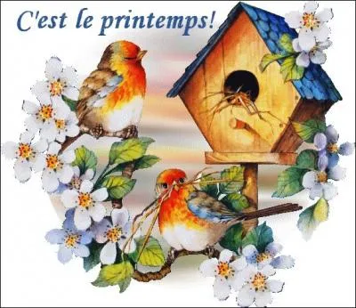 Sa fête est le 28 mars. C'est un vrai bonheur pour ceux qui connaissent Donald Duck !