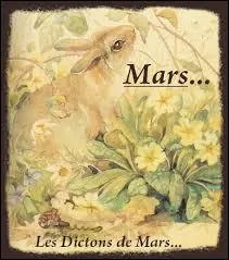 Avec elle Claudine s'en va, et sa chatte est Saha. On la fête le 6 !