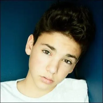 Combien a-t-il de guitares ?