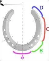 Quelle est la partie nommé B sur l'image ?