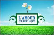 Quiz Animateurs