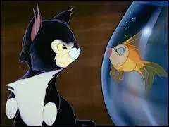 Pinocchio ne vit pas avec :