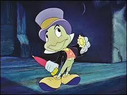 Comment ce petit criquet s'appelle-t-il ?