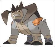 Quel est ce Pokémon ?