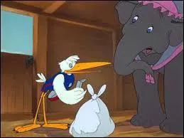 Quels animaux amènent les petits des bêtes de cirque ?