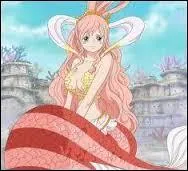 À quelle question se trouve Jinbei ?