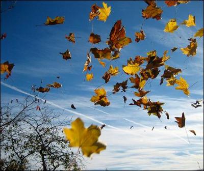 Qui chantait "Quand revient le vent de l'automne, je pense à tout ce temps perdu" ?