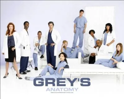 Dans "Grey's Anatomy", qui meurt ?