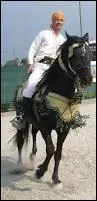 Le cheval barbe est utilisé...