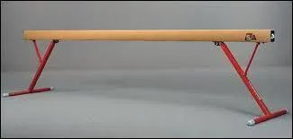 Combien y a-t-il d'agrès pour les filles ?